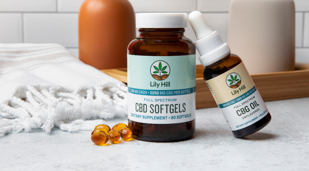 The Beginner's Guide to CBD, Part 3: CBD and the Endocannabinoid System