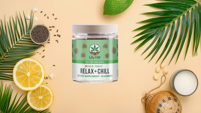 What Are CBD Gummies Guide