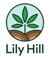 Lily Hill